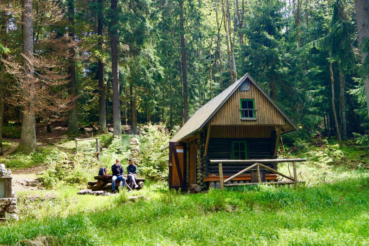 Pension Zum Ritter Katzhutte Exteriör bild